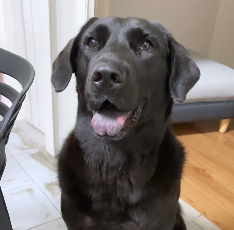 陰道水腫與脫垂