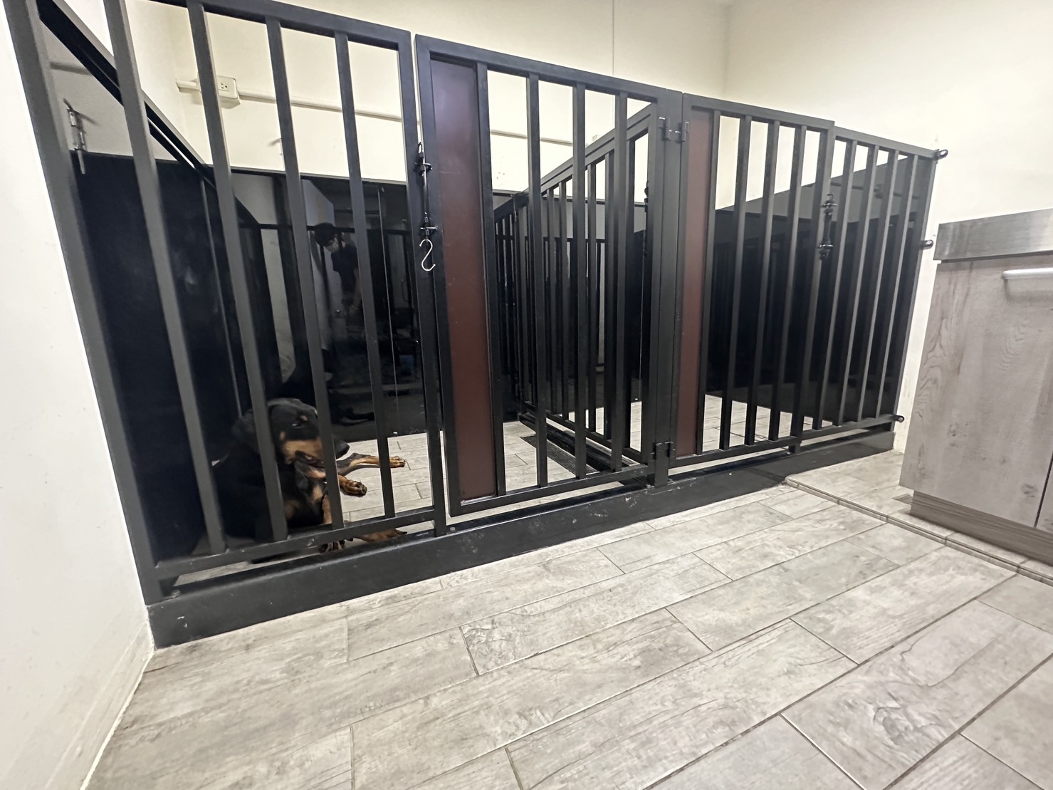 本院新增大型犬專用的病房