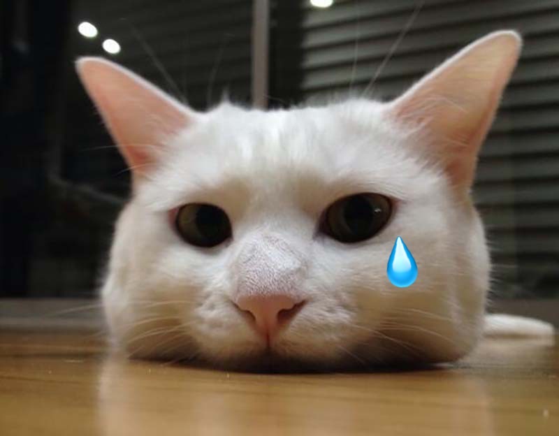 犬齒斷裂 牙髓炎