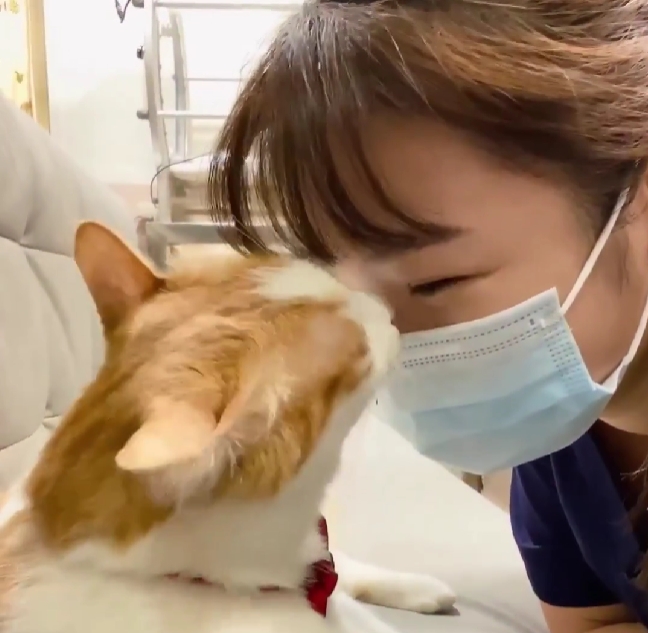 院長白白的搞笑日常