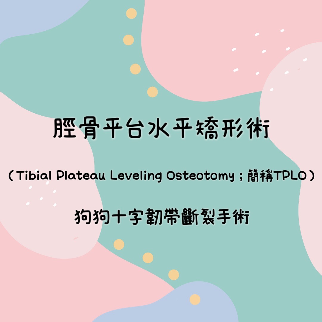 本院引進義大利原廠Intrauma TPLO骨板器械來進行手術