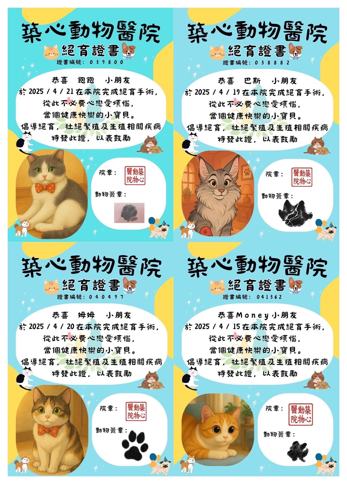 絕育手術限定小禮物